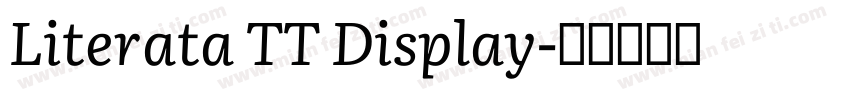 Literata TT Display字体转换